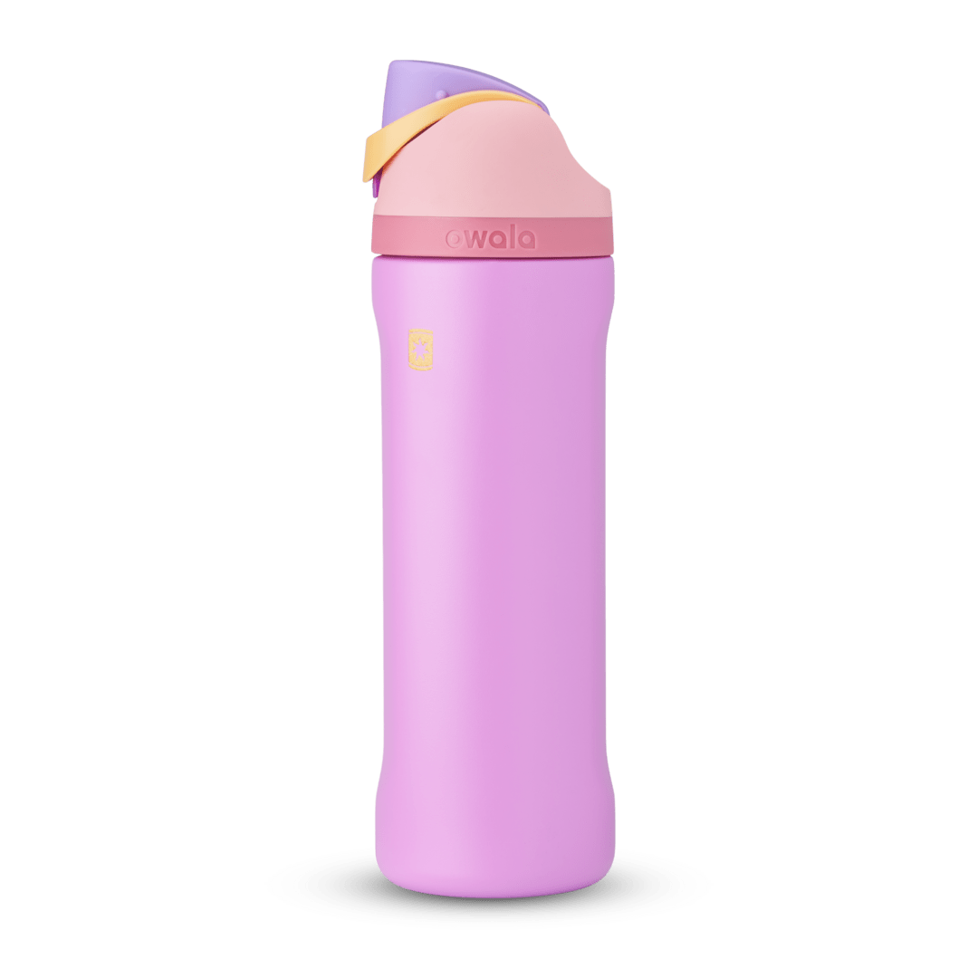 Owala-Disney Princess Collection
