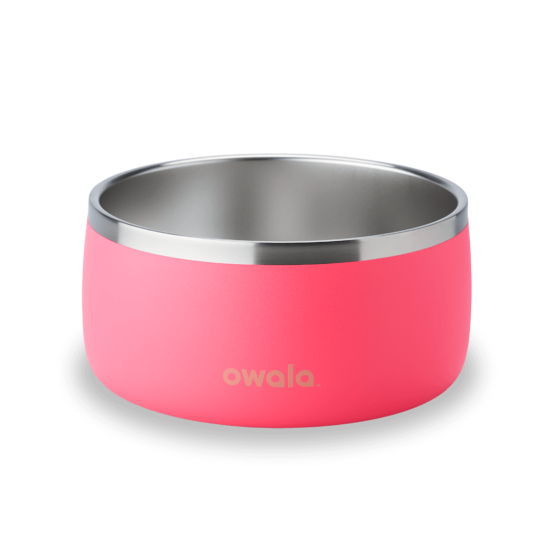 Owala-Pet Bowl