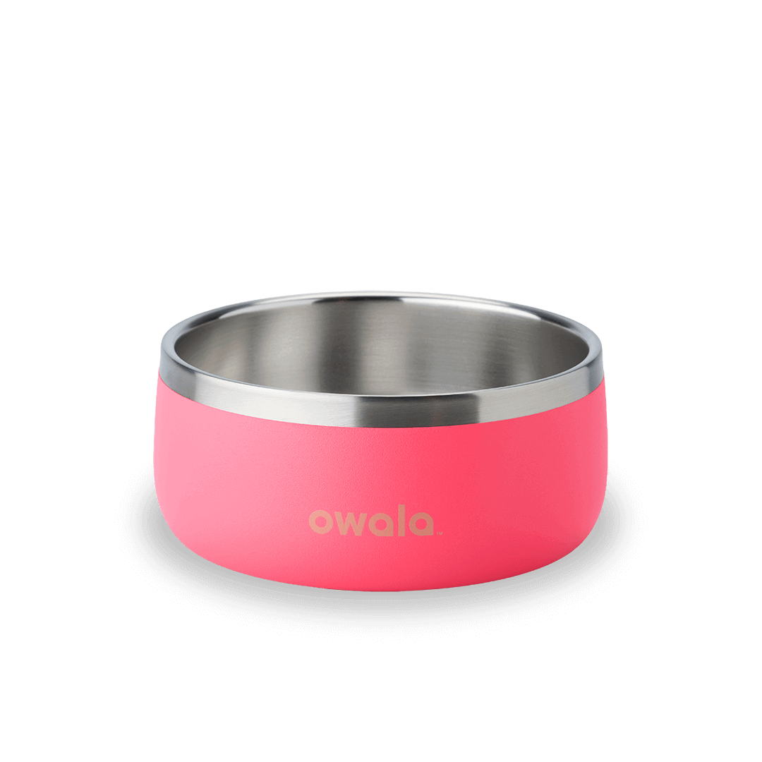 Owala-Pet Bowl